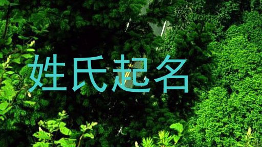 姓氏起名