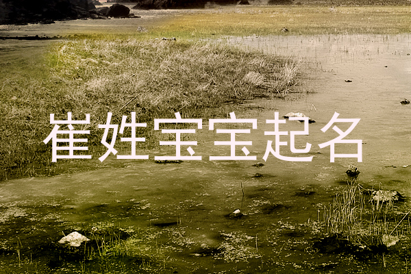 崔姓宝宝起名