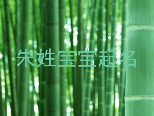 朱姓宝宝起名