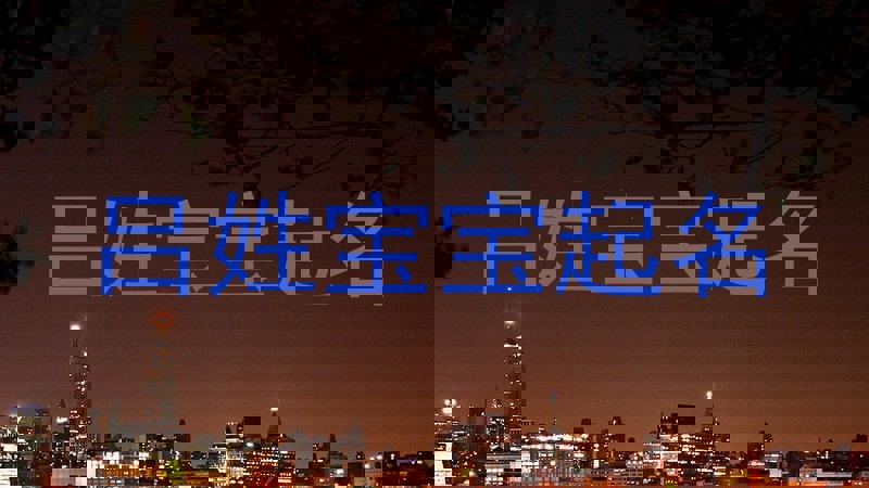 吕姓宝宝起名