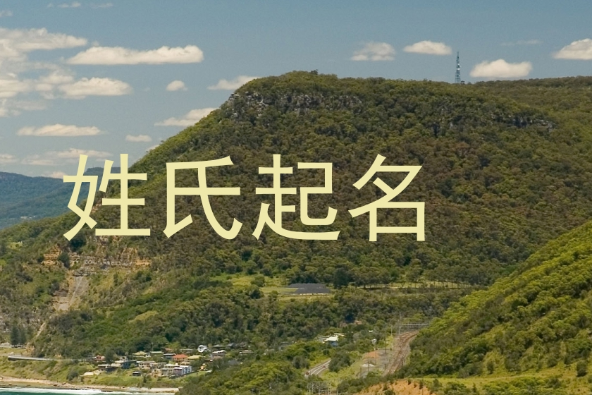 姓氏起名