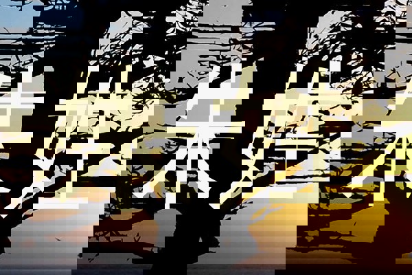 朱姓