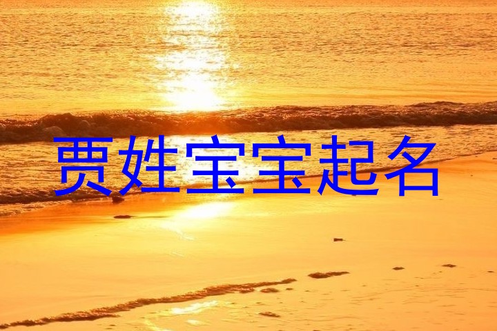 贾姓宝宝起名
