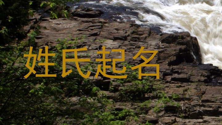 姓氏起名