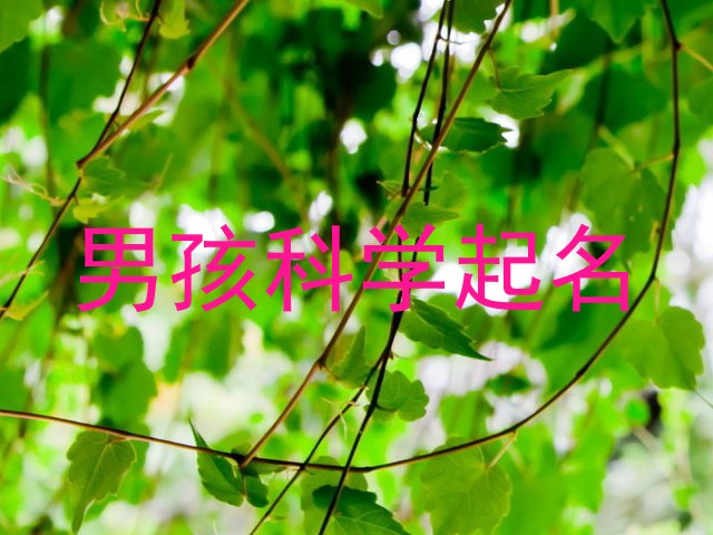 男孩科学起名