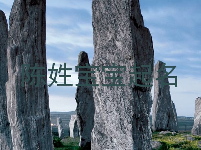 陈姓宝宝起名