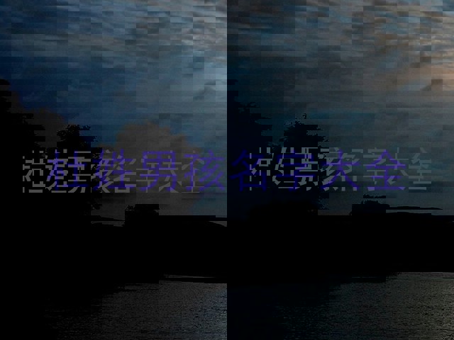 杜姓男孩名字大全