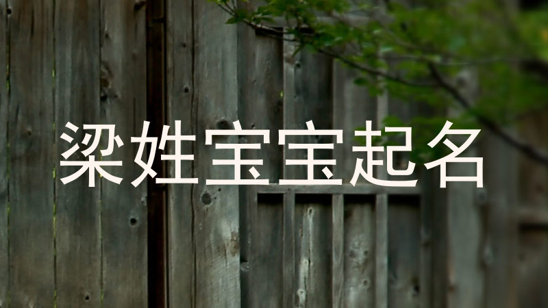 梁姓宝宝起名