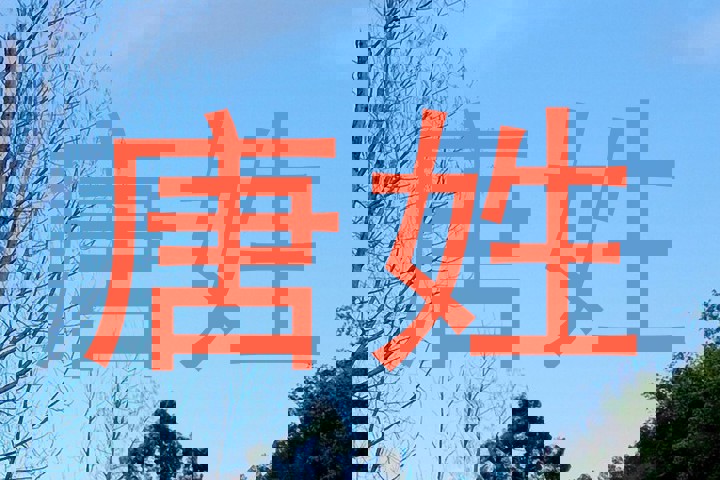 唐姓