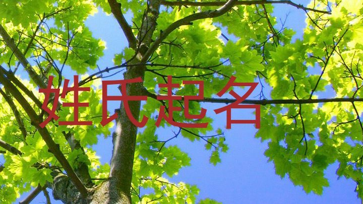 姓氏起名