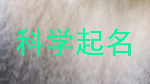 在线科学起名