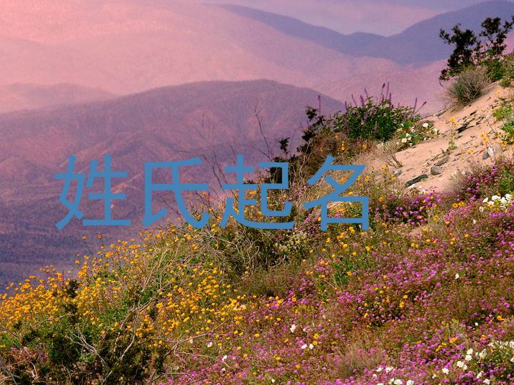彭姓男孩名字大全