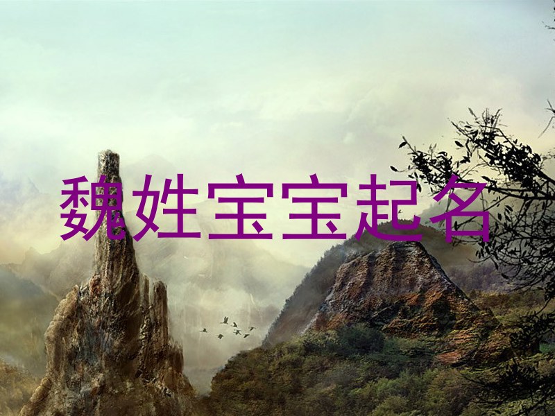 魏姓宝宝起名