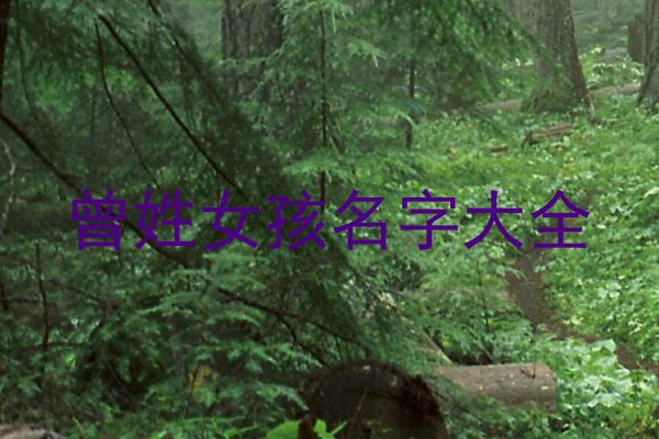 曾姓女孩名字大全