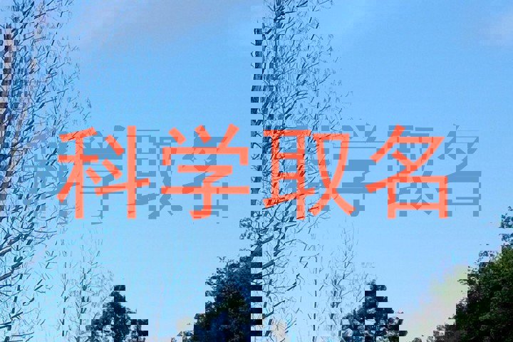 科学取名