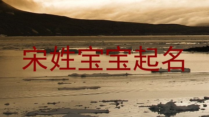 宋姓宝宝起名