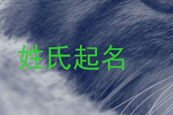 于姓宝宝起名