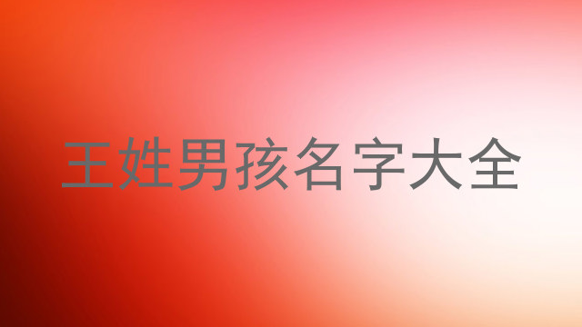 王姓男孩名字大全