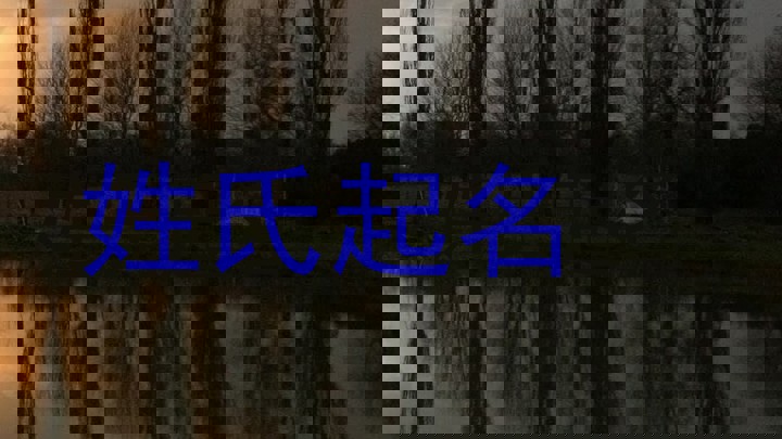 高姓男孩名字大全