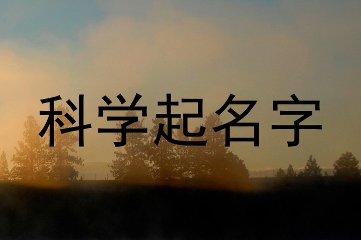 科学起名字