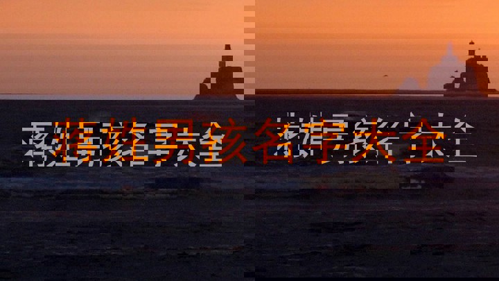 蒋姓男孩名字大全