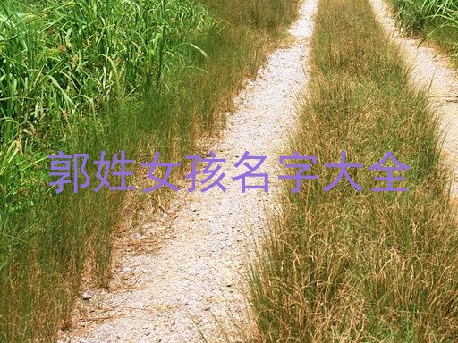 郭姓女孩名字大全