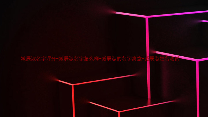 臧辰淑