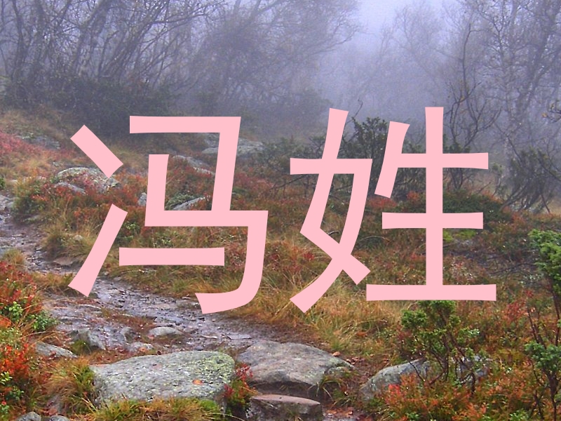 冯姓