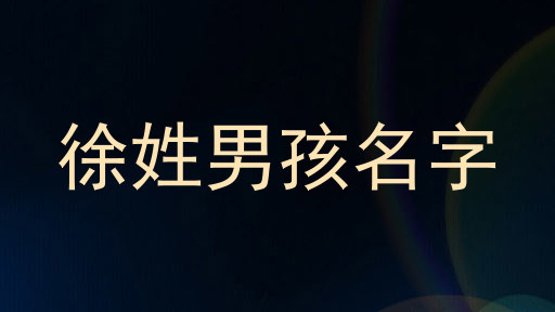 徐姓男孩名字
