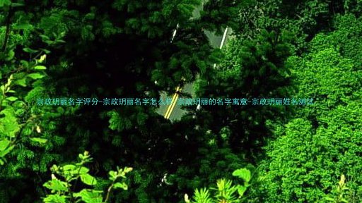 宗政玥丽