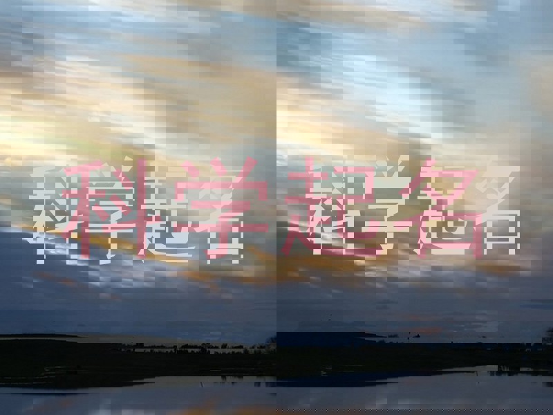科学起名