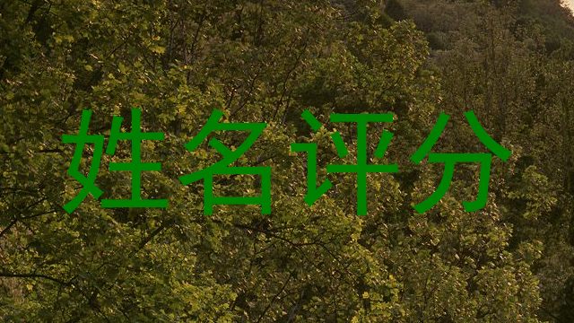 巨霞梓