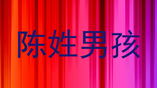 陈姓男孩