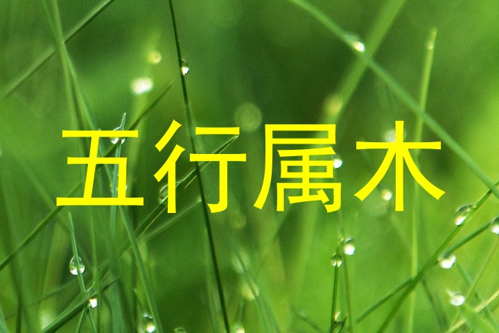 五行属木
