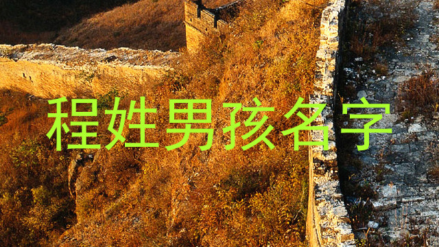 程姓男孩名字