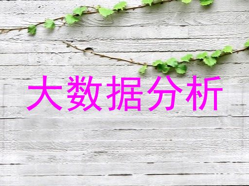 大数据分析