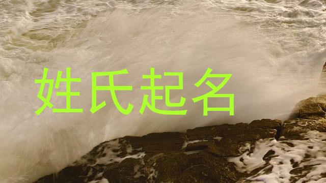姓氏起名