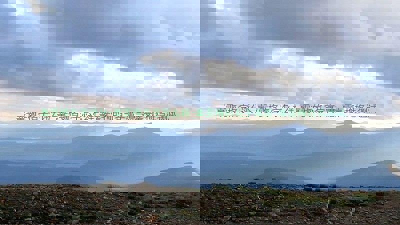 辜雯梅名字评分-辜雯梅名字怎么样-辜雯梅的名字寓意-辜雯梅姓名测试