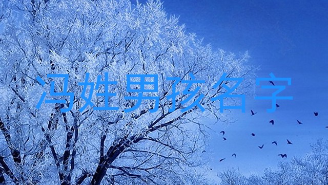 冯姓男孩名字
