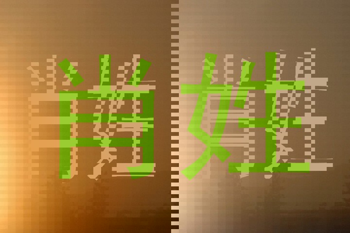 肖姓