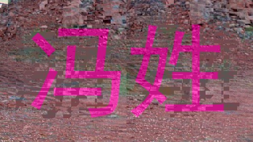 冯姓