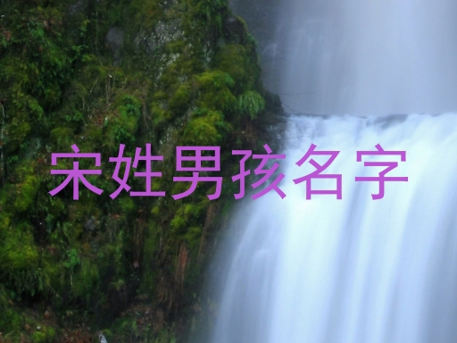 宋姓男孩名字