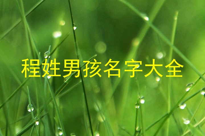 程姓男孩名字大全
