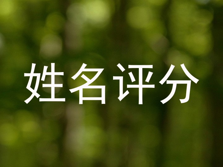 龙云莹