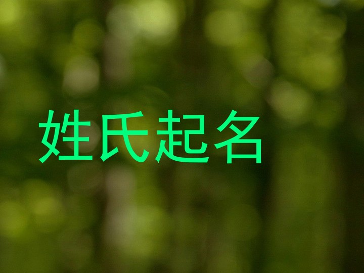 姓氏起名