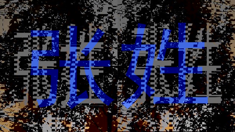张姓
