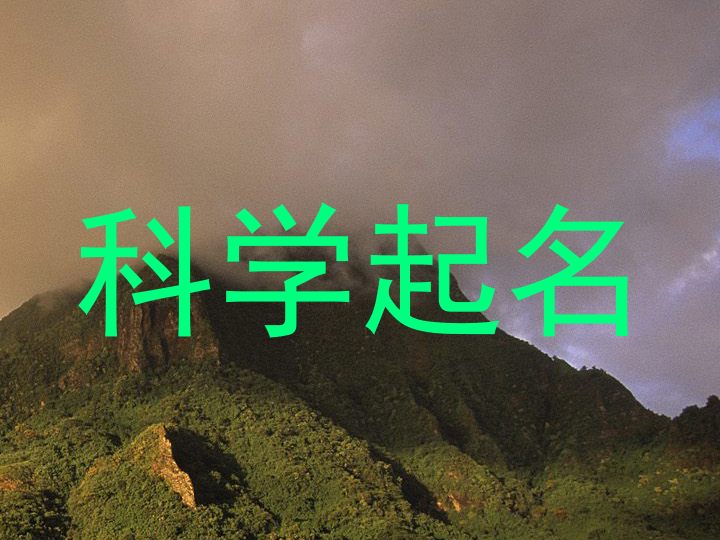 科学起名