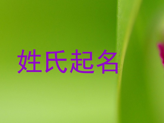 孙姓女孩名字