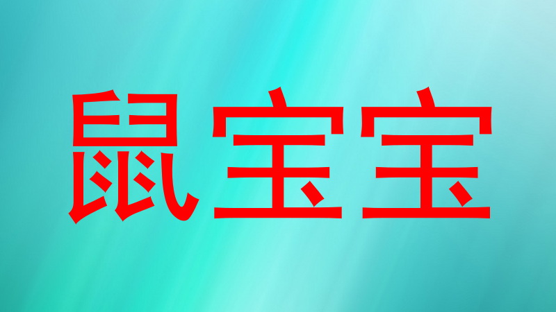 鼠宝宝