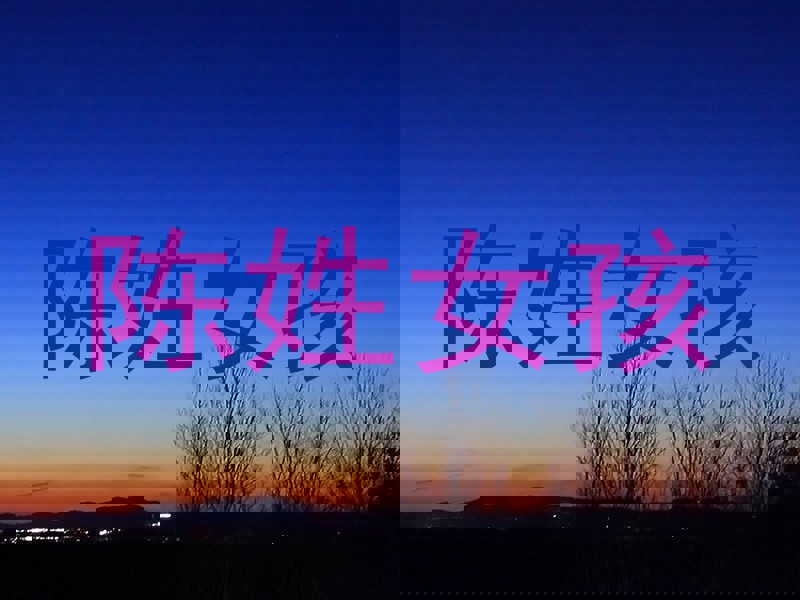 陈姓女孩